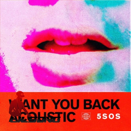 5 Seconds Of Summer - Want You Back (Acoustic)